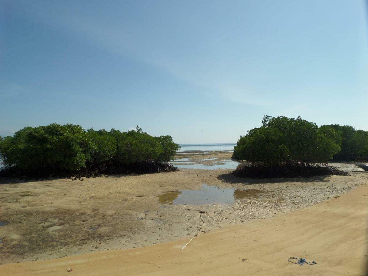 נוסה-למבונגן Mangrove Paradise Retreat מראה חיצוני תמונה